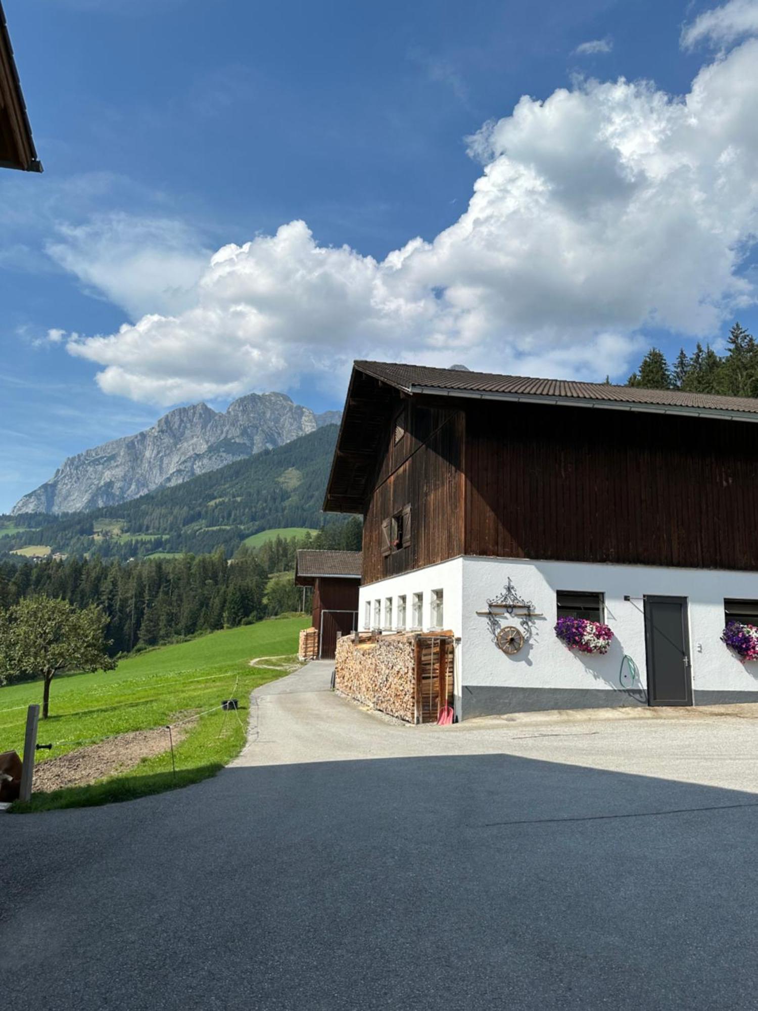 Frische Bergluft Und Laendlicher Charme - Ihr Aktiver Urlaub Am Muehlauhof Mühlbach am Hochkönig Exterior foto
