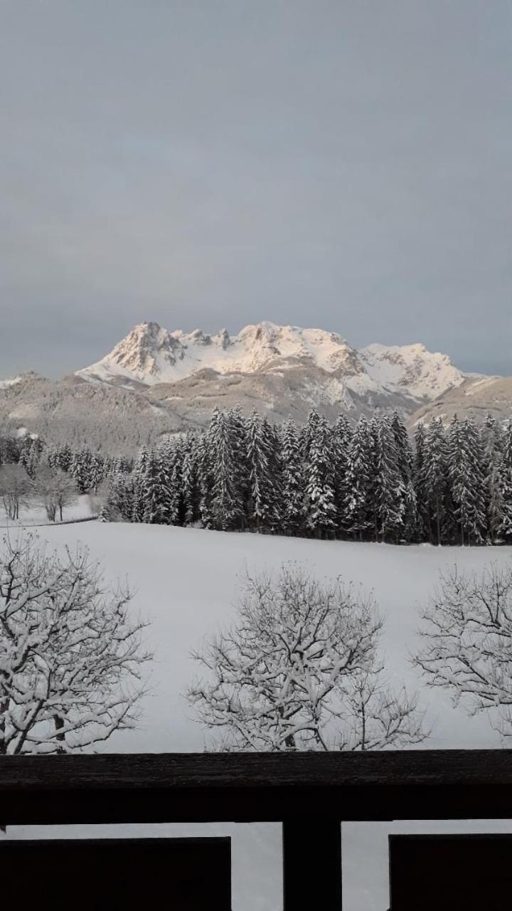 Frische Bergluft Und Laendlicher Charme - Ihr Aktiver Urlaub Am Muehlauhof Mühlbach am Hochkönig Exterior foto